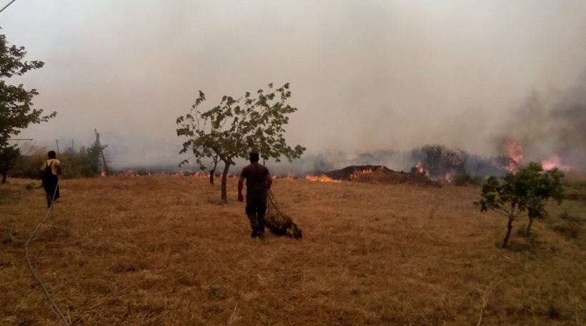 Μαίνεται από χθες πυρκαγιά στον Πύρριχο Λακωνίας